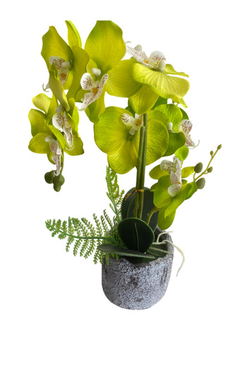 Flower Decorative floral arrangement with artificial orchid in a pot