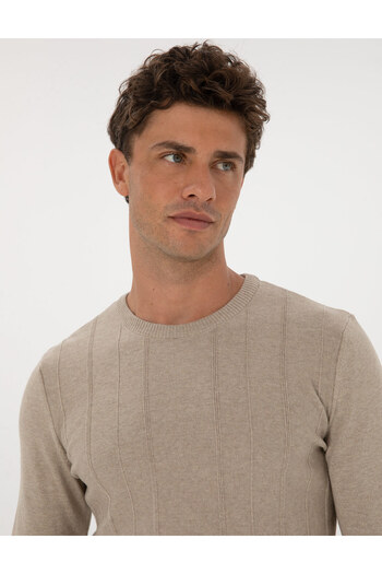 Pierre Cardin Men's Woven Cotton Circular Neck Slim Fit Sweater