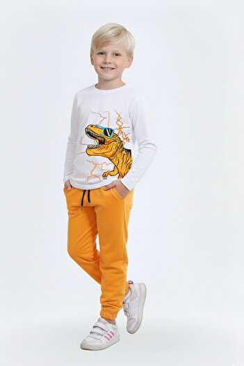 FYK KİDS Boys' Top and Bottom Set with Dinosaur Print Detail