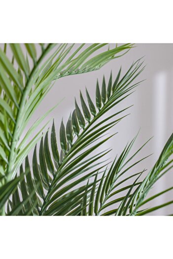 Danube Home 150 cm Artificial Palm Plant | Realistic Indoor/Outdoor Greenery for Home, Office, Patio & Gardens
