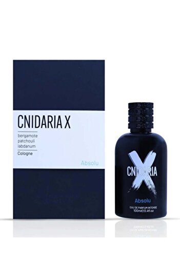 SAMAM PERFUMES Valve Sindaria X Absolu Eau de Parfum Intense 100ml