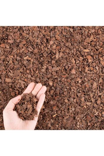 Generic CJGQ 9 qt Organic Orchid Potting Bark - Natural Mulch for Potted Plants, Root Development of Orchid