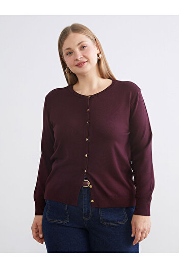 LC Waikiki Sparkling Selections from Shining Store |   Crew Neck Women's Knitwear Cardigan