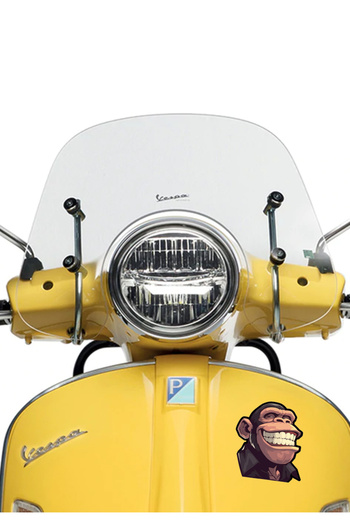 MegaSticker Smile Monkey Sticker Car, Motorcycle, Helmet, Laptop, Glass Sticker 13X13 cm