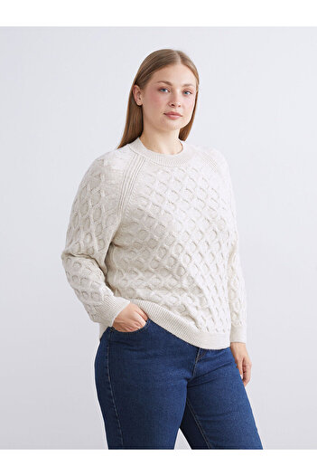 LC Waikiki Beige Crew Neck Self-Patterned Women's Knitwear Sweater