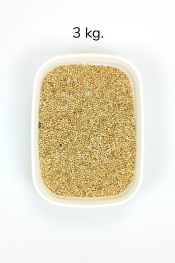 HarmonyAura Natural Fresh Seed Yellow Millet for Budgerigars and All Exotic Birds - 3 kg