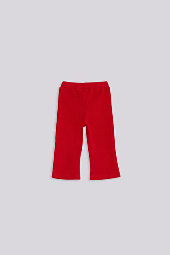 GB Baby Baby Girl Red Tights