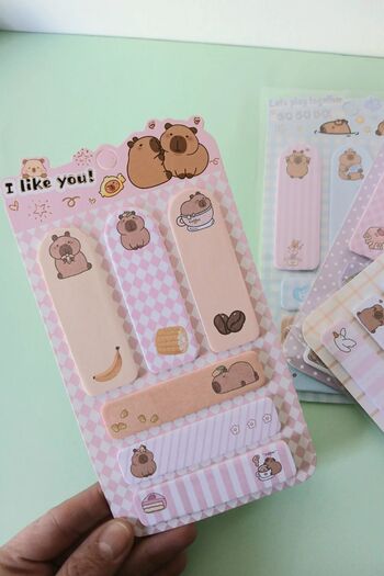 Ecrou Cbr Post It Set