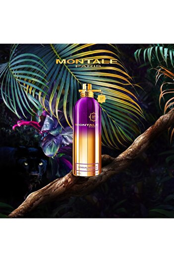 Montale Sensual Instinct 100 ml Eau de Parfum