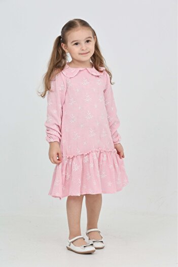 Toontoy Girl's Floral Embroidered Baby Collar Dress