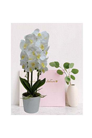 velve Orhidee cu aspect in ghiveci ceramic alb, 60 cm, Alb