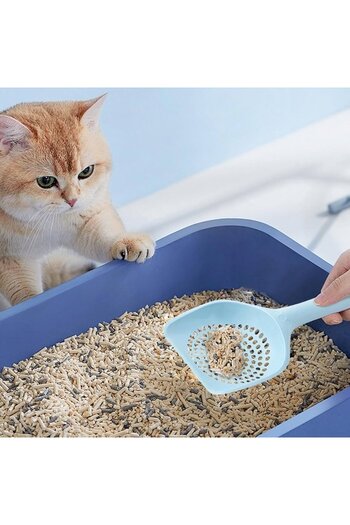 OEM Hygienic Litter Scoop, Ergonomic Design, Plastic, 25 x 13 cm, Blue