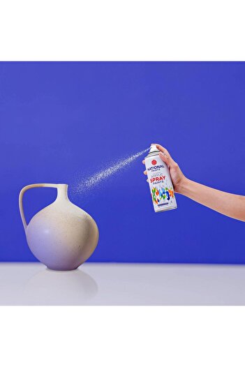 NATIONAL PAINTS Fast Drying Acrylic Spray Paint - Clear 900