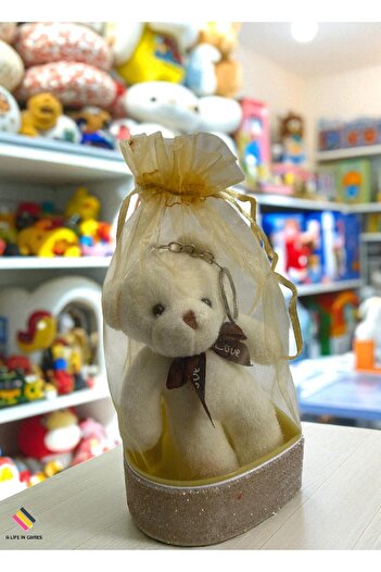 a life in games Teddy Bear Keychain in Pouch – Plush Teddy Bear |   Valentine's Day & Birthday Gift