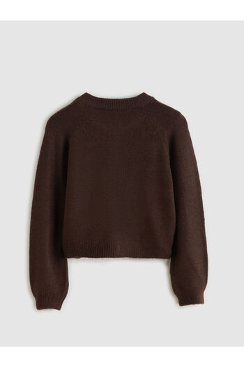 LC Waikiki Brown Crew Neck Girls' Knitwear Cardigan