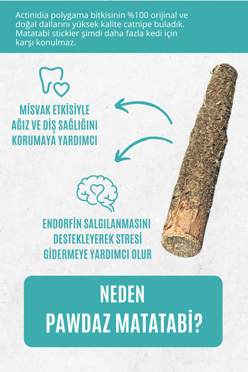 pawdaz Catnip Matatabi Stick (2 Pcs) - Natural Toy to Help Clean Teeth and Relieve Stress