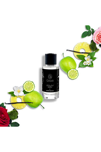 Ginsari Men's Perfume 602, inspired by Aventus, Fruity/Chypre, 50ml