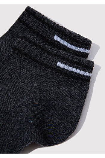 Mavi 0911609 -80023 Model Anthracite Booties
