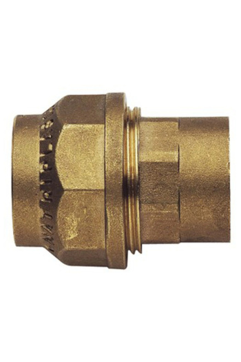 remer Minutery 490RF2063, FI, 2" x 63 mm, brass compression fitting