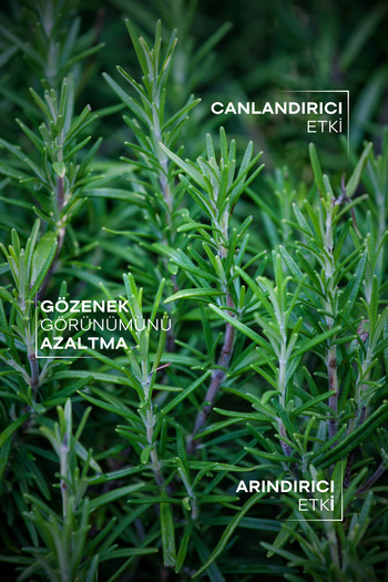 TTO Rosemary oil