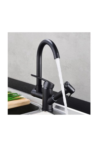 Trendy's Kitchen faucet with swan spout and pull-out shower in matte black