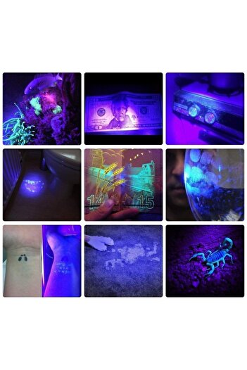 PROCART UV Flashlight 385 Nm 9 LEDs
