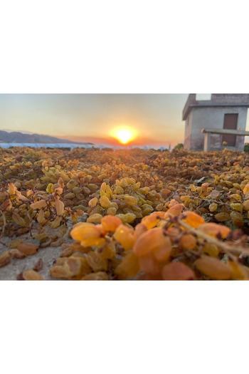 SAFA HATAY YÖRESEL ÜRÜNLER Hatay Hassa Raisins 250 Gram