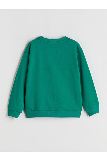 LC Waikiki Crew Neck Boy Sweatshirt