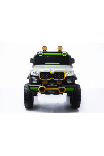 CAR Electric 4WD With 2Motors & 2Battery, RC 29-F684-GREY