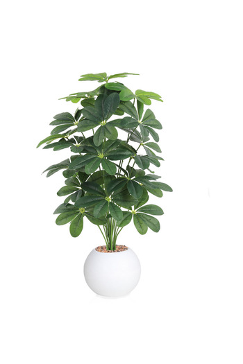 Generic Artificial jasmine tree, 100cm tall, with 24 branches, simulating a real tree.