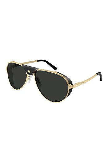 Cartier Ct0296 001 Sunglasses