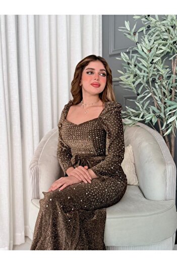 Generic shiny brown dress