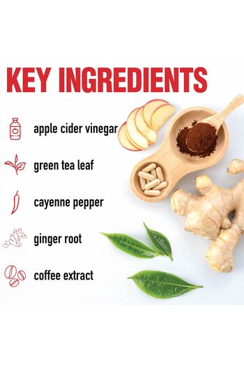 windmill Dietworks Apple Cider Vinegar Capsules Ea, Ginger, Cayenne & Maple, 120 Count