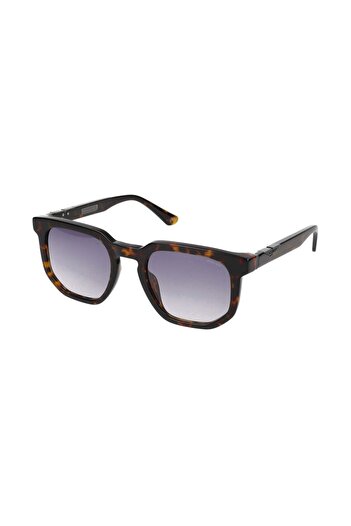 Police Sunglasses