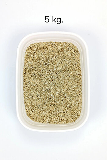 No8 Home Natural Fresh Canary Plain Bird Food - 5 kg