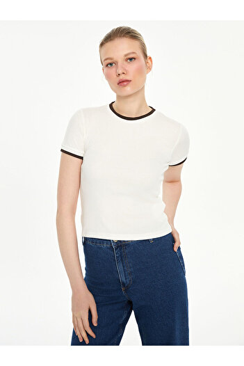 LC Waikiki Brown Crew Neck Women's T-Shirt