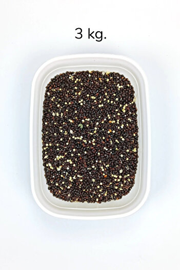 No8 Home Black Millet Plain Powder-Free Natural Fresh Bird Food - 3 kg