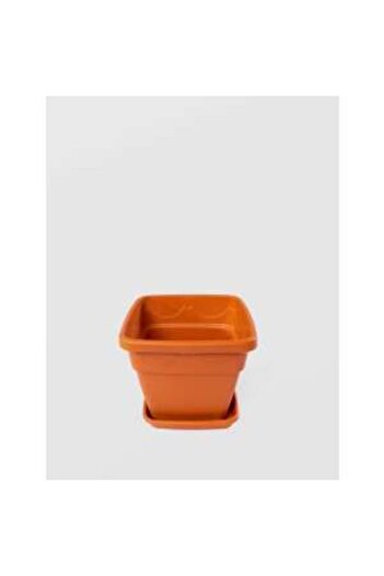 sterk Square Flower Pot with Tray, 21×18 cm, Brown Plastic