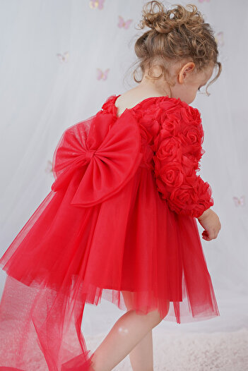 ALYRA Baby Girl Dress Long Sleeve Bowknot Rose Birthday Party Wedding Special Occasion Evening Dress Girls' Clothing