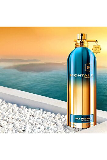 Montale Day Dreams 100 ml Eau de Parfum