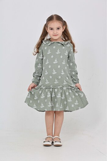 Toontoy Girl's Floral Embroidered Baby Collar Dress