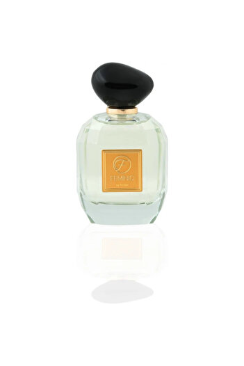 Frederic Patric Parfum Feminic by Patric, eau de parfum 100 ml, women