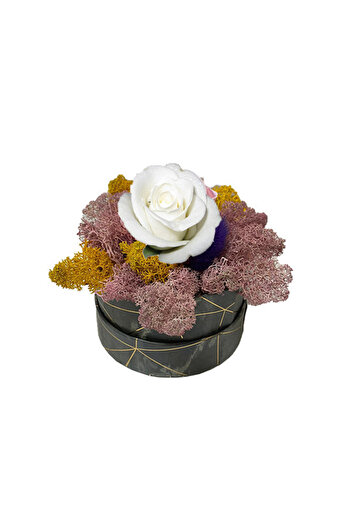 velve Trandafir criogenat Pastel Perfection decorat in cutie cu licheni naturali stabilizati, Alb