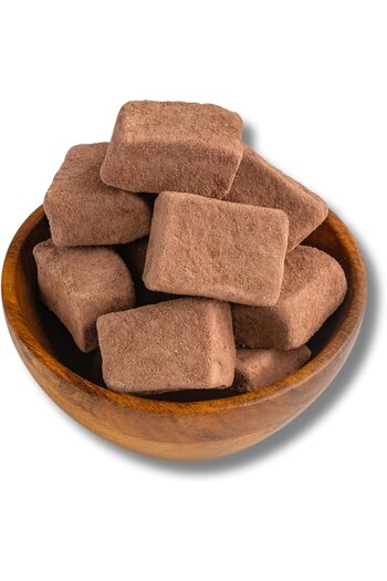 nicense Chocolate Freeze Dried Ice Cream 100g Jar – Crunchy Chocolate Dessert Snack | Lightweight,