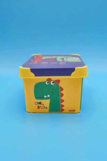 QUTU Style Box DUDE Desenli 5 L Dekoratif Saklama Kutusu