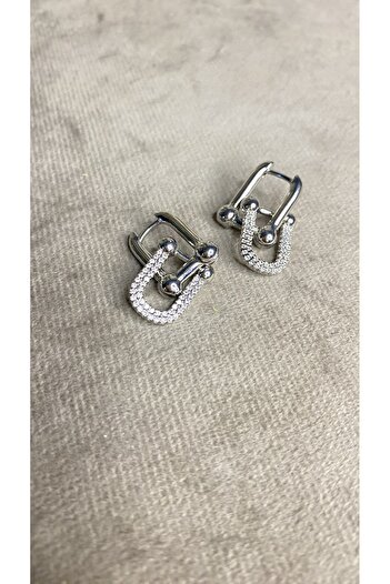Eva shopping Silver Steel Earrings with Zircon Stone
