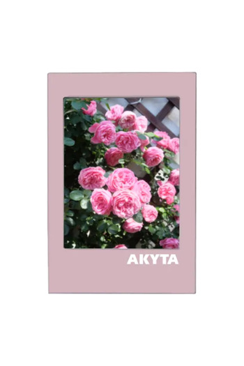 Fujifilm Film Instax mini 2x10 with magnetic pink frame