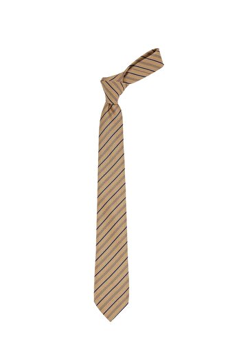 Tudors Patterned Classic Men's Tie with Pocket Handkerchief