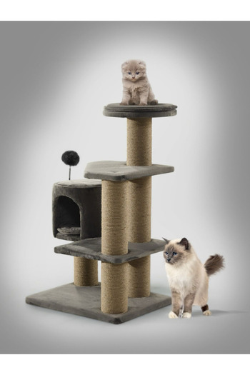 Desire Tammy Luxury Cat Scratching and Resting Tree