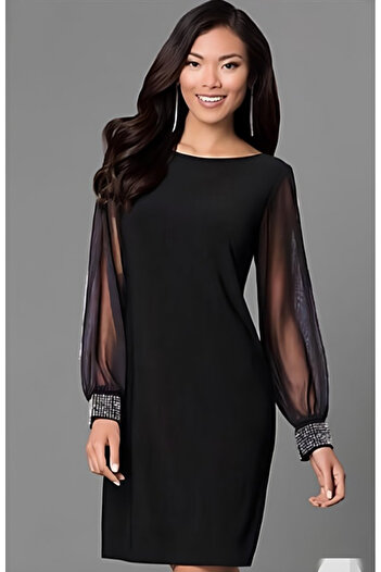 buğrahayalin    Women's Long Sleeve Collar Slightly Open Sleeve Tulle and Stone Detail Short Crepe Dress